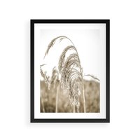 Plakat w ramie 40x50 - Ujęcie Suchych Traw - suche trawy, zbliżenie - rama czarna