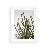 Plakat w ramie 30x40 - Ekskluzywna Roślinność - kaktusy, liście - rama biała