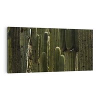 Obraz na płótnie 100x50 - Wyjątkowy Klimat Boho - kaktusy, pustynia