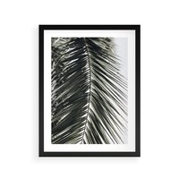 Plakat w ramie 30x40 - Liść Palmy: Egzotyczny Detal Natury - palma, liść palmy - rama czarna