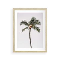 Plakat w ramie 50x70 - Wakacyjne Marzenia - palma na tle nieba - rama drewno