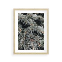 Plakat w ramie 30x40 - Zima na Gałęziach - sosnowe gałęzie, igły - rama drewno