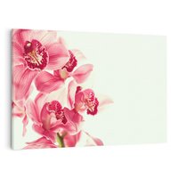 Obraz na płótnie 70x50 - Orchidea - delikatne kwiaty - orchidea, kwiaty