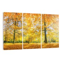 Obraz na płótnie 120x80 - Jesień w Lesie: Urok Lasu - jesień, las