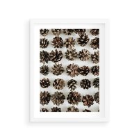 Plakat w ramie 40x50 - Jesienna Tekstura - kompozycja z suchych szyszek, jesienne szyszki - rama biała