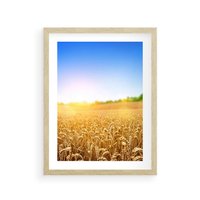 Plakat w ramie 50x70 - Żyzne Pola - pole, pszenicy - rama drewno