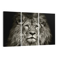 Obraz na płótnie 120x80 - Moc lewego spojrzenia - lew, czarno