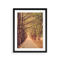 Plakat w ramie 40x50 - Wędrówka między drzewami - droga, drzewa - rama czarna