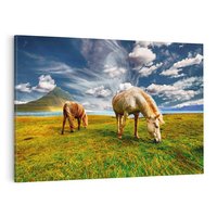 Obraz na płótnie 120x80 - Konie na łące przy jeziorze: Siła natury - konie, łąka