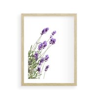 Plakat w ramie 50x70 - Delikatny Urok - lawenda, kwiaty - rama drewno
