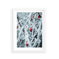 Plakat w ramie 50x70 - Zima na Gałęziach - zima, oszronione gałęzie - rama biała