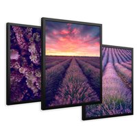 Zestaw obrazy w ramie 50x70 galeria - Wrzosy, lawenda, zachód, słońca - rama czarna