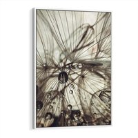 Obraz w ramie 50x70 - Lekkie dmuchawce - dmuchawce, krople - rama biała