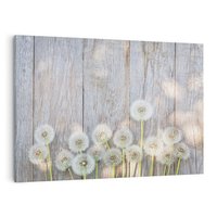 Obraz na płótnie 120x80 - Symbol swobody - dmuchawce