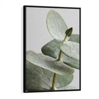 Obraz w ramie 70x100 - Eukaliptusowa zieleń - eukaliptus, zielone - rama czarna