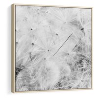 Obraz w ramie 80x80 - Zdmuchnięty Puch - dmuchawce, delikatne - rama drewno