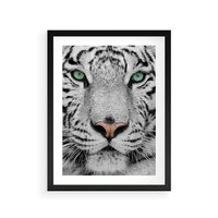 Plakat w ramie 40x50 - Magia Białego Tygrysa - biały, tygrys - rama czarna