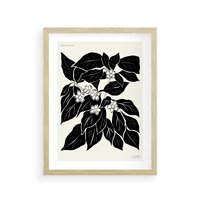 Plakat w ramie 40x50 - Ruchome szkicowe odbicia - czarno biała grafika, roślinność - rama drewno