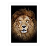 Plakat bez ramy 30x40 - Król zwierząt w majestatycznym stylu - lew, król