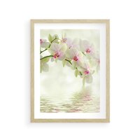 Plakat w ramie 50x70 - Orchidea w Spa - orchidea, kwiaty - rama drewno