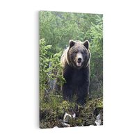 Obraz na płótnie 80x120 - Spotkanie z Niedźwiedziem w Lesie - niedźwiedź, las