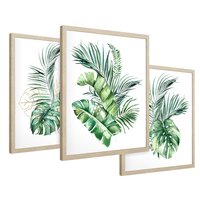 Zestaw obrazy w ramie 50x70 galeria - Liście, monstera, palma, złote, akwarele - rama drewno