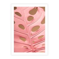 Plakat bez ramy 40x50 - Różowa monstera w pełnym rozkwicie - różowa, monstera