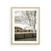 Plakat w ramie 50x70 - Drzewa i Snopki Siana - farma, drzewa - rama drewno