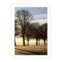 Plakat bez ramy 50x70 - Siła natury - drzewa, pole