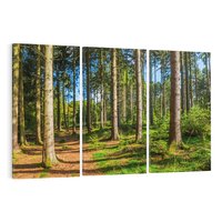 Obraz na płótnie 120x80 - Mistyfikacje lasu - las, drzewa