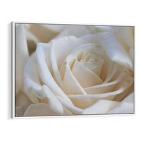 Obraz w ramie 120x80 - Białe róże piękności - białe, róże - rama biała