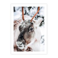 Plakat bez ramy 21x30 - Renifer w Zimowej Krainie - renifer, zima
