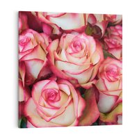 Obraz na płótnie 70x70 - Różany urok - kwiaty, róże