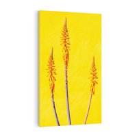 Obraz na płótnie 70x100 - Radość Natury - kolor, kwiaty