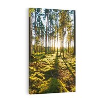 Obraz na płótnie 80x120 - Obfitość natury - las, drzewa