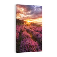 Obraz na płótnie 80x120 - Lawenda: Pachnące pole kwiatów - kwiaty, lawenda