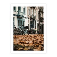 Plakat bez ramy 21x30 - Rowery w Mieście pełnym Liści - rower, miasto