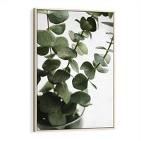 Obraz w ramie 80x120 - Zielone eukaliptusy - eukaliptus, liście - rama drewno
