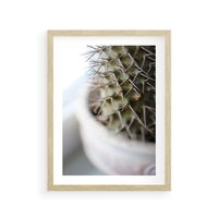 Plakat w ramie 40x50 - Kaktus w Zbliżeniu - kaktus, igły - rama drewno