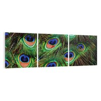 Obraz na płótnie 120x40 - Pawi Ogon - Piękno i Wspaniałość - paw, pióra