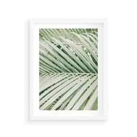 Plakat w ramie 40x50 - Liście Palmy: Egzotyczna Grafika - palma, liście palmy - rama biała
