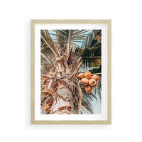 Plakat w ramie 30x40 - Tropikalna Palma: Fotografia z Kokosami - palma kokosowa, kokosy - rama drewno