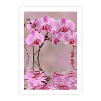 Plakat bez ramy 21x30 - Relaksacyjne spa w otoczeniu storczyka - spa, storczyk