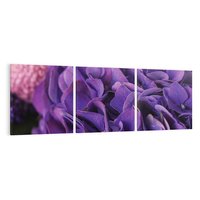 Obraz na płótnie 120x40 - Fioletowa hortensja - kwiaty, hortensja