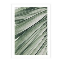 Plakat bez ramy 21x30 - Tropikalna Oaza - zielony liść palmy, zieleń