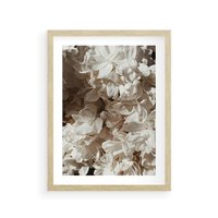 Plakat w ramie 50x70 - Płatki w Detalu - białe kwiaty, zbliżenie - rama drewno
