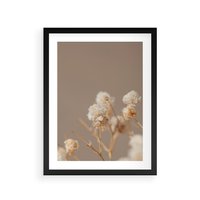 Plakat w ramie 40x50 - Przezroczyste piękno - gipsówka, suche - rama czarna