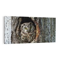 Obraz na płótnie 120x60 - Tajemniczy W świecie Nocy - sowa, dziupla