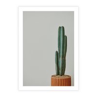 Plakat bez ramy 21x30 - Zieleń i Subtelność - kaktusy, liście