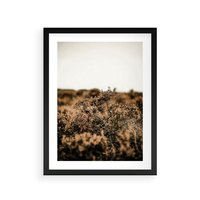 Plakat w ramie 50x70 - Krajobraz W Naturze: Beże i Brązy - suche krzewy, natura - rama czarna
